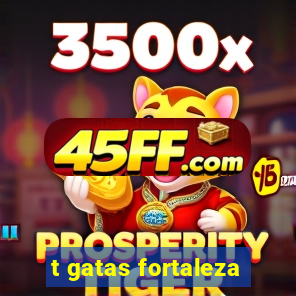 t gatas fortaleza